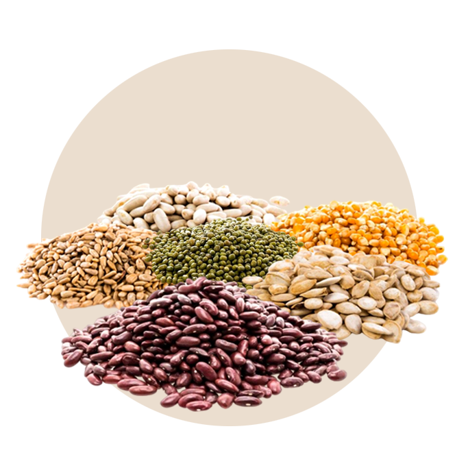 Top indian vegetable exporters in kerala india